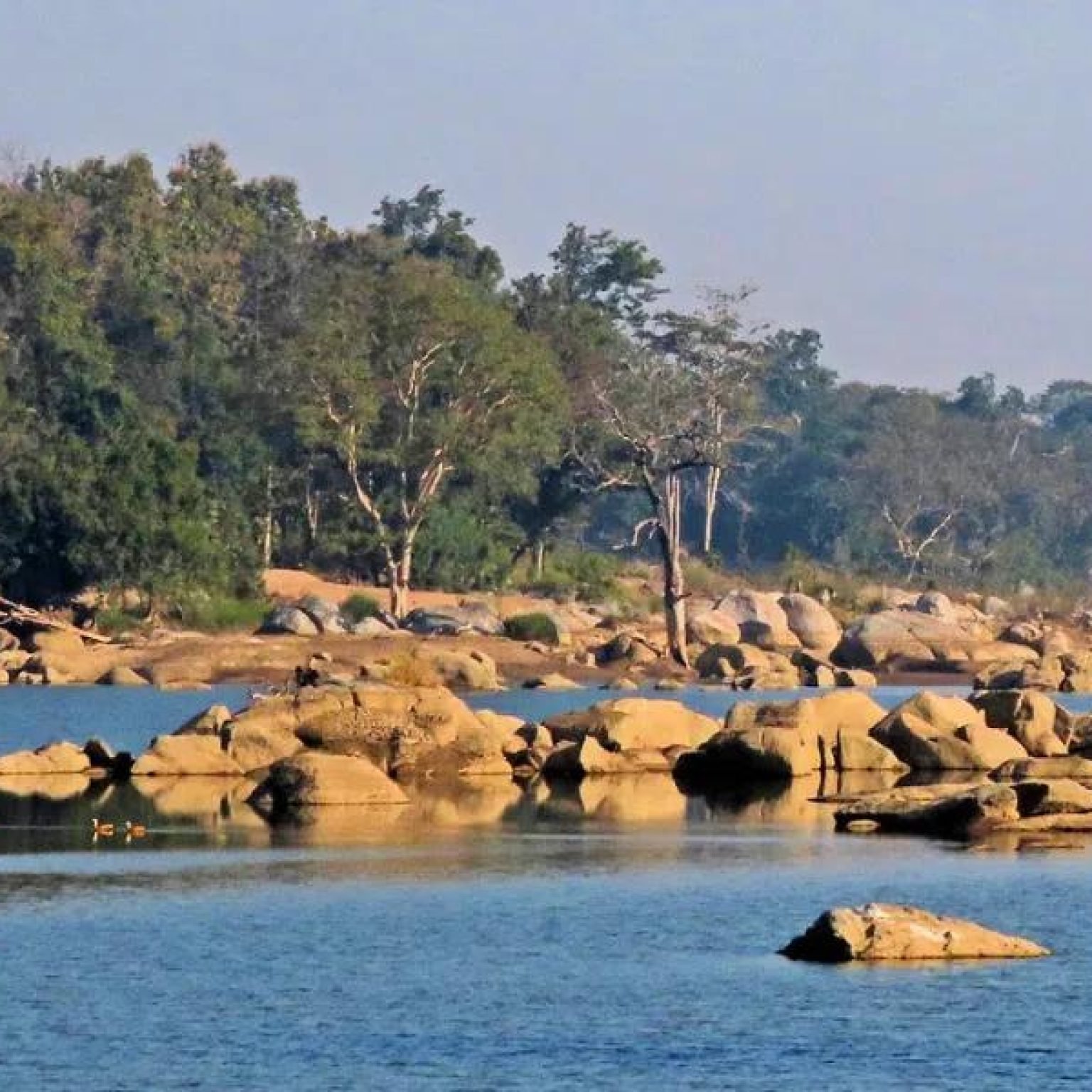 Travel Guide To Pench National Park