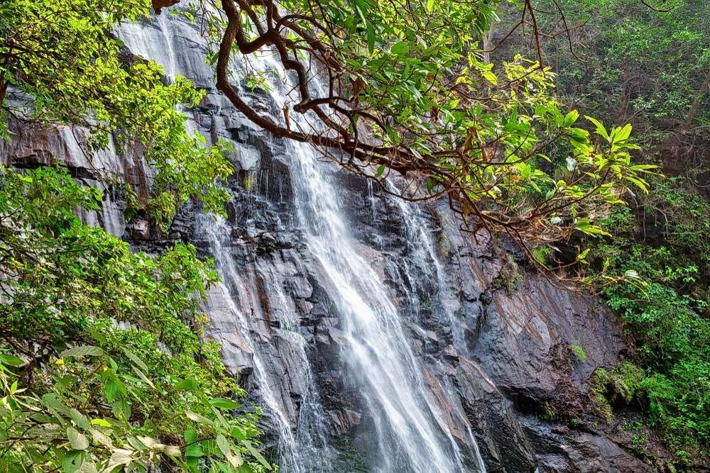 Bee Falls panchmarhi