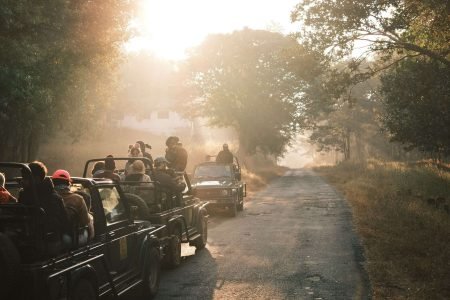 Best Family Tour Packages in Madhya Pradesh