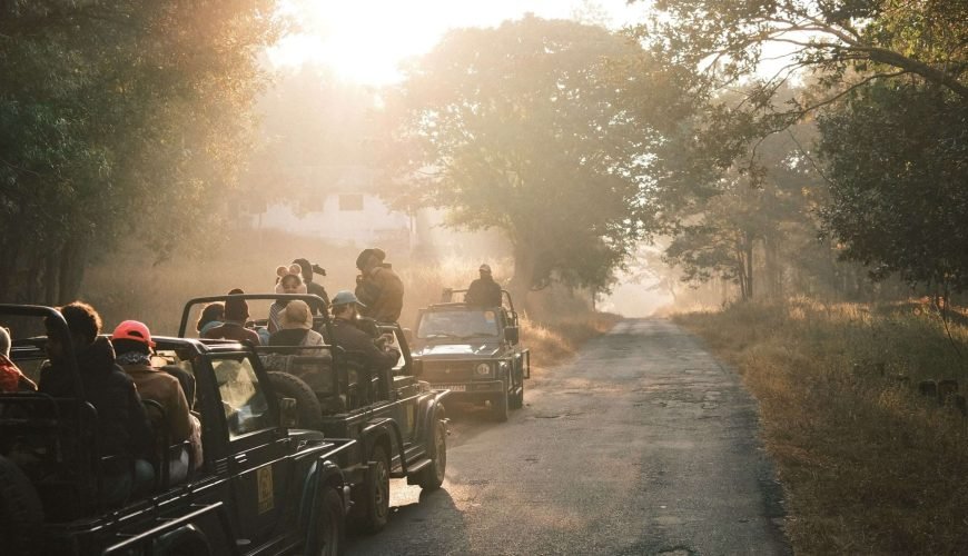 Best Family Tour Packages in Madhya Pradesh